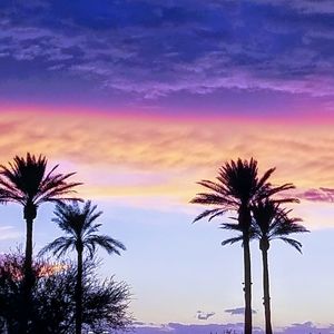 Meet your Posher, Ilona